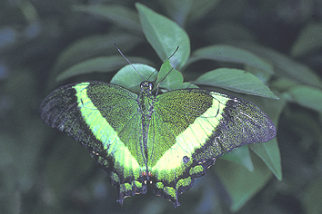 Image10.jpg