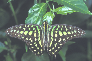 Image12.jpg