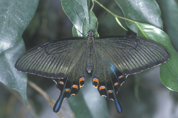 Image14.jpg