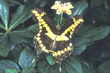 Image24.jpg