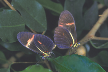 Image28.jpg