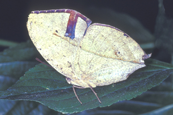 Image29.jpg