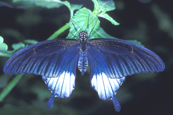 Image31.jpg