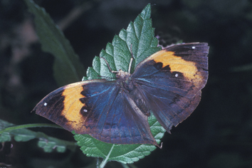 Image5.jpg